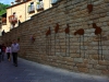 img_2202-version-2