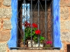 img_2206-version-2