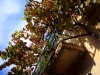 img_2218-version-2