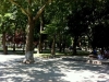 gezi park