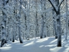 parco-abruzzo1