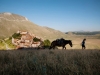 A woman walks with a horse in Spello, Perugia © Steve McCurry