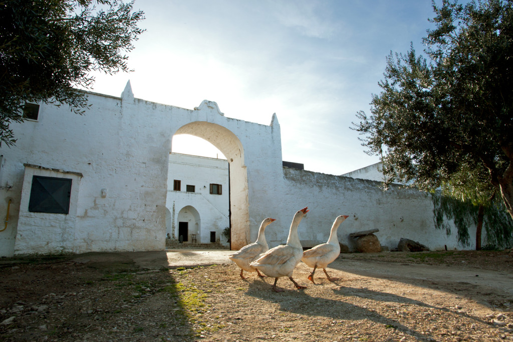 Ostuni, la Città Bianca, in provincia di Brindisi