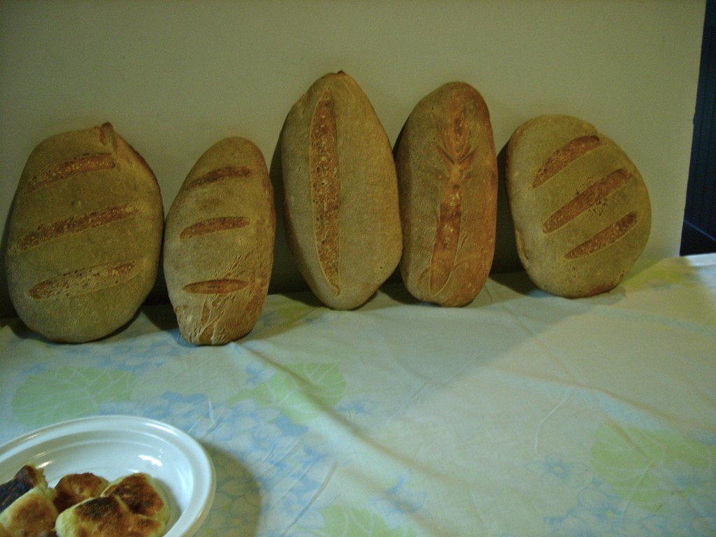 il pane appena sfornato si appoggia ad un muro, in posizione quasi verticale, per evitare che l'eccessivo sbalzo di calore lo sformi