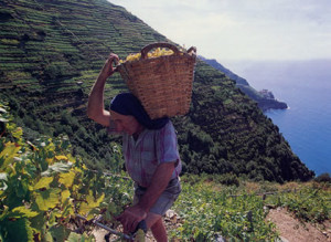 parco nazionale cinque terre