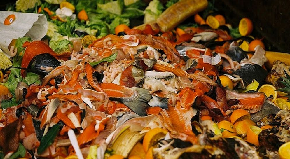 anno In Italia, ogni anno, cibo sprecato per 8,7 miliardi di euro