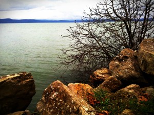 Trasimeno