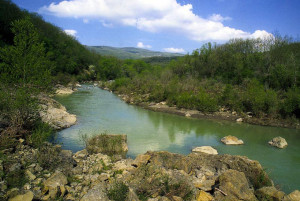 Un consorzio nato nel 2007 riunisce oggi 36 soci e 46 attività economiche. A San Casciano dei Bagni il territorio viene tutelato e valorizzato partendo dalle antiche radici.