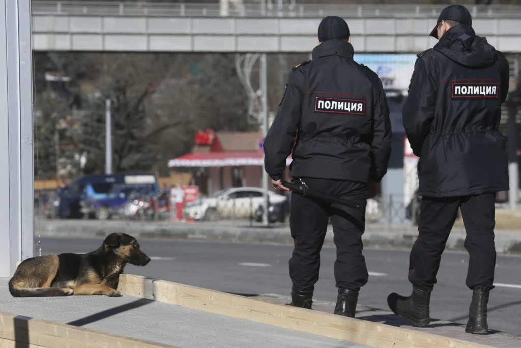 Strage di cani e gatti randagi a Sochi, Russia, che ospiterà i le Olimpiadi invernali del 2014