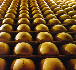 Tutti i diritti riservati © www.parmigiano-reggiano.it