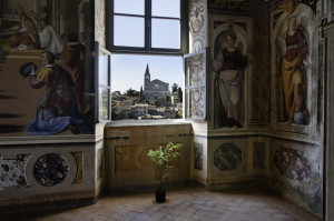 A plant inside a building in Todi © Steve McCurry