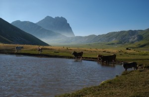 sabelli il pascolo