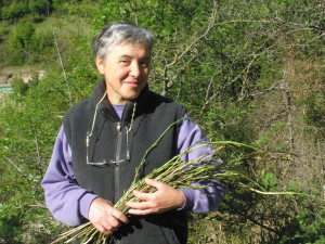 La raccolta degli asparagi