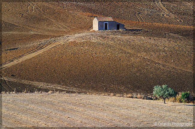 Campagne siciliane (zmphoto.it)