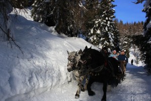 © Roberta Isceri - Paesaggio innevato 