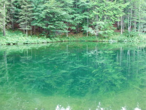 Lago degli Abeti, Riserva Orientata delle Agoraiedi sopra e Moggetto (Rezzoaglio, GE)