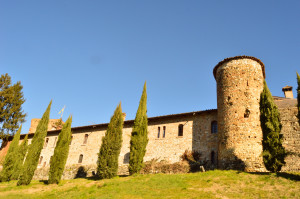 Il castello di Rivalta (PC)
