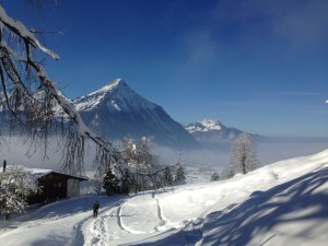 Le Alpi svizzere
