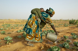 agricoltura-in-africa