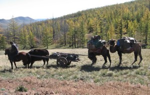 Gruppi di pastori per una gestione sostenibile dei pascoli in Mongolia