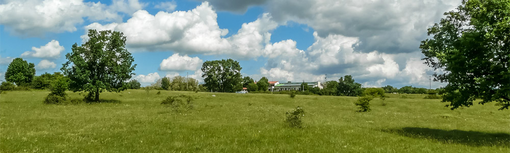 La natura intorno al Parco Rurale Alture di Polazzo, Fogliano Redipuglia (GO)