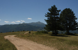 Campagna marchigiana