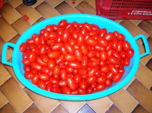 Pomodori per la salsa