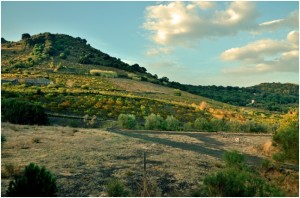 Monte Arso presso Nicolosi