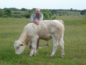 Davide e il suo vitello
