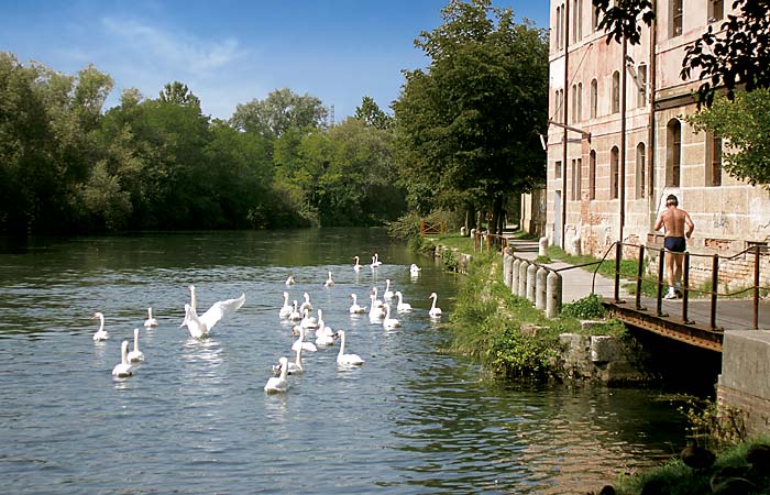 Lungo il fiume Sile 