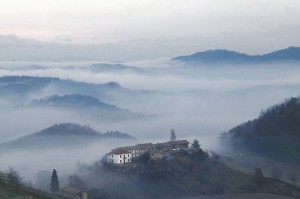 Langhe nella nebbia