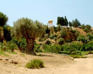 Giardino della Kolymbethra