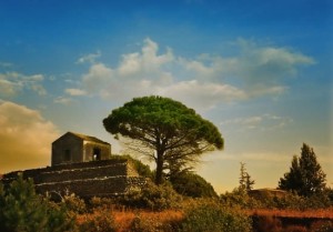 Panorama | MASCALUCIA | Fotografia di Orazio Minnella (www.bed-and-breakfast.it)