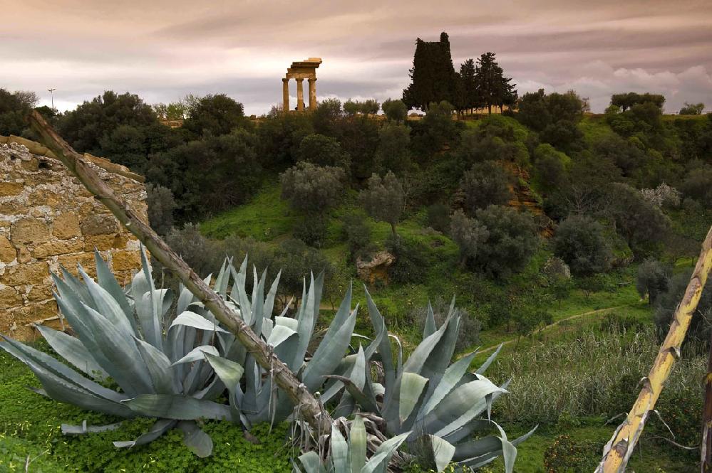 agrigento-valle-dei-templi-giardino-della-kolymbetra