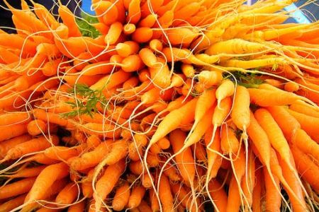 carote-novelle