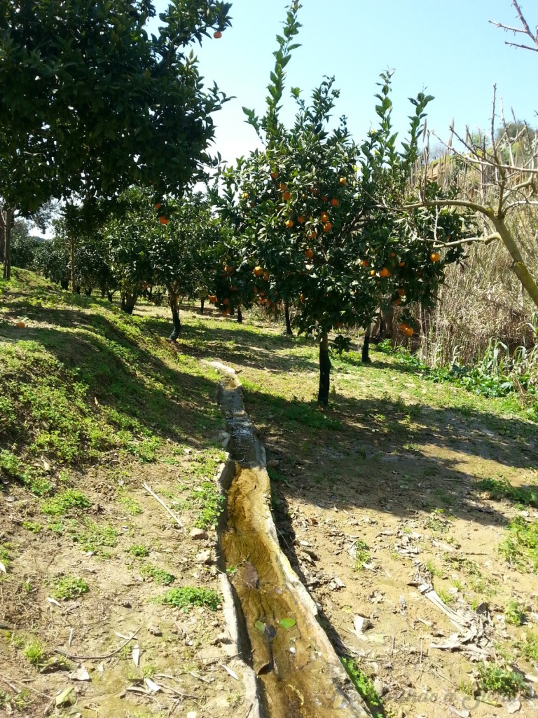 I canali per l'irrigazione attraversano il Giardino da un'estremità all'altra (foto da descobrindoasicilia.com)