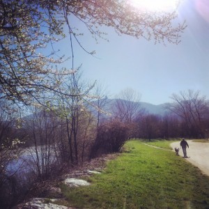 Parco del Meisino Torino