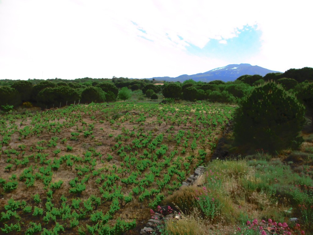 L’Etna in lontananza