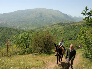 Trekking sugli asini (homemadesicily.com)