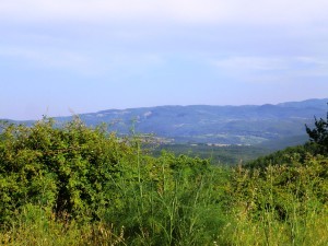 La natura selvaggia dalle parti di Piegaro