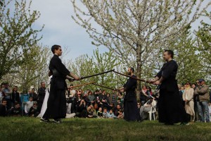 Hanami, festa dei “ciliegi in fiore” – La Contea dei Ciliegi, edizione 2014