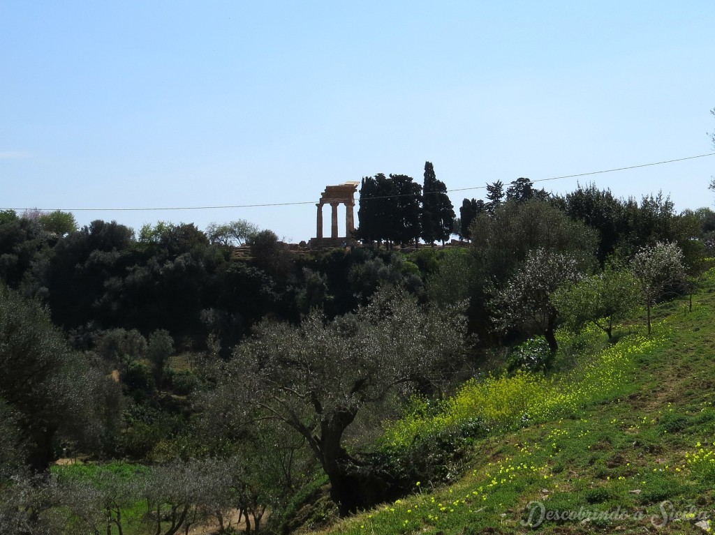 Giardino della Kolymbetra – descobrindoasicilia.com dd