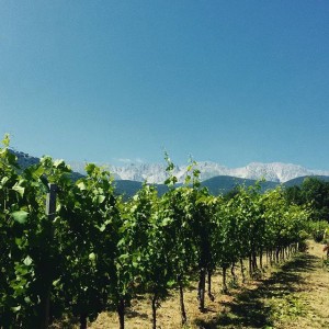 1. Vigneti e montagne d’Abruzzo