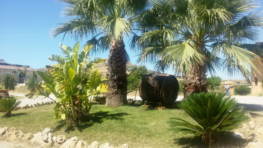 Tenuta Morreale