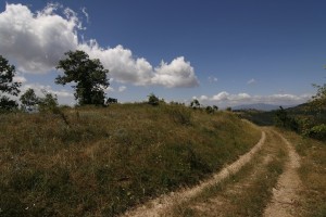 5. Sentiero di campagna