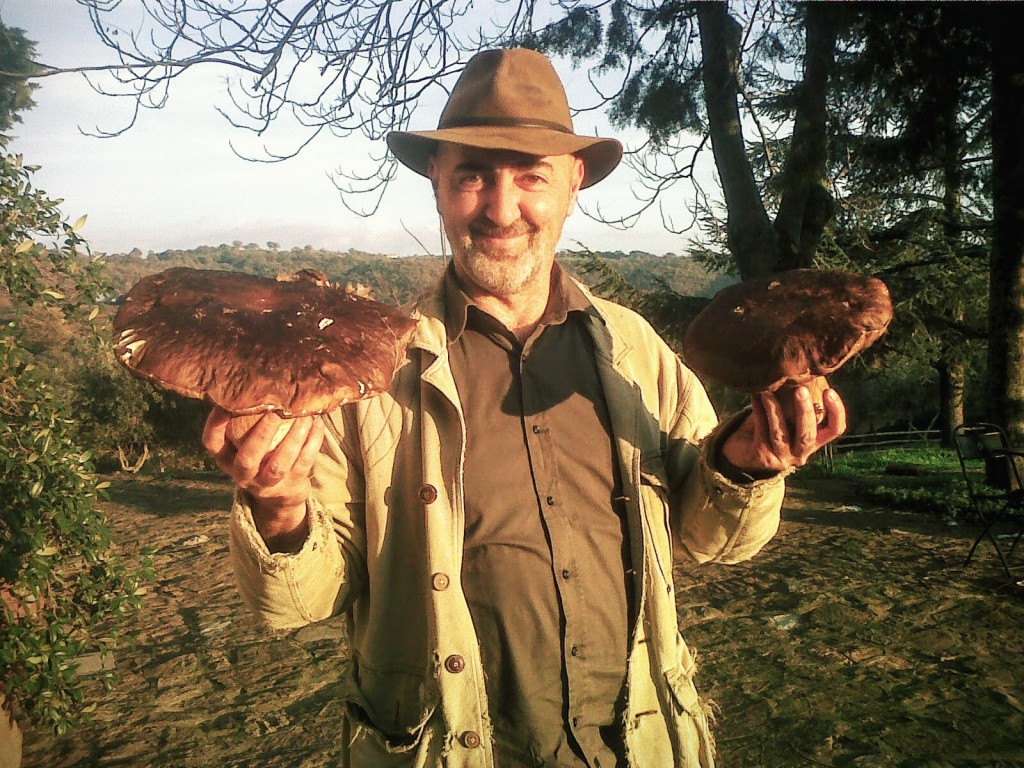 Giovanni D funghi