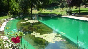 Il bio-lago de Il Cerreto