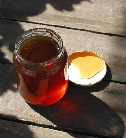 Il miele di Podere Leccetro (Tripadvisor)