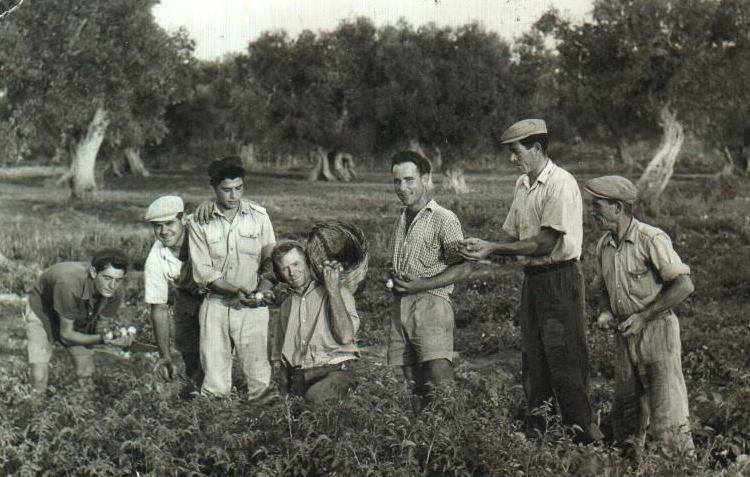 agricoltura sociale