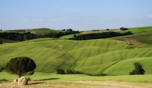 La Maremma – www.turismonotizie.com